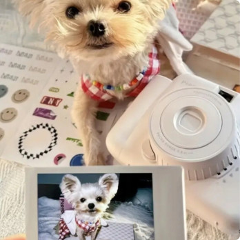 POPOTO FIOLETOWY APARAT NATYCHMIASTOWY Z WKŁADAMI INSTAX MINI 10 szt