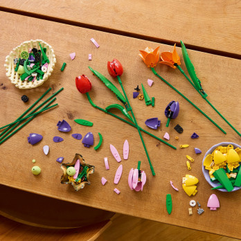 LEGO Botanicals Bukiet tulipanów 11501